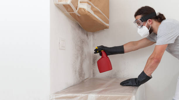 Professional Bathroom Mold Removal technician working in Malvern, PA