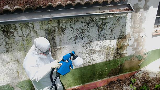 Top rated local Bathroom Mold Removal specialists in Malvern, PA